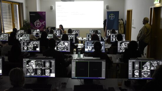 V MOÚ se uskutečnil další workshop pro radiology